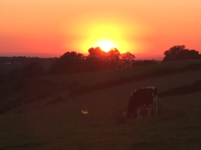 Sunset suppers at Botley Hill Farmhouse