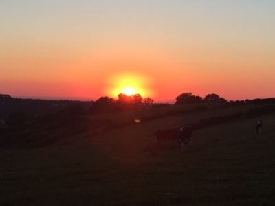 Sunset suppers at Botley Hill Farmhouse