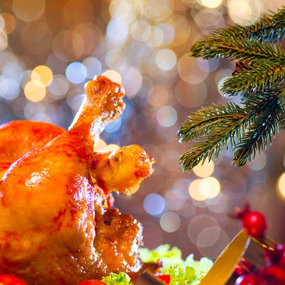 Xmas turkey.jpg