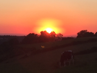 Sunset suppers at Botley Hill Farmhouse