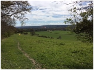 Walk 5 pic 2.png